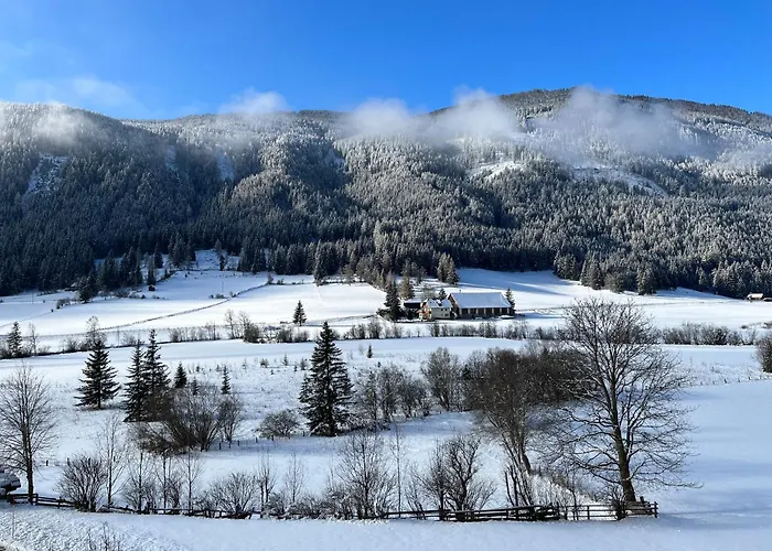 Longaview Apartament Weisspriach